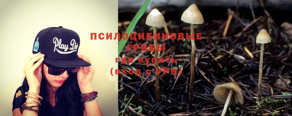 бошки Абдулино